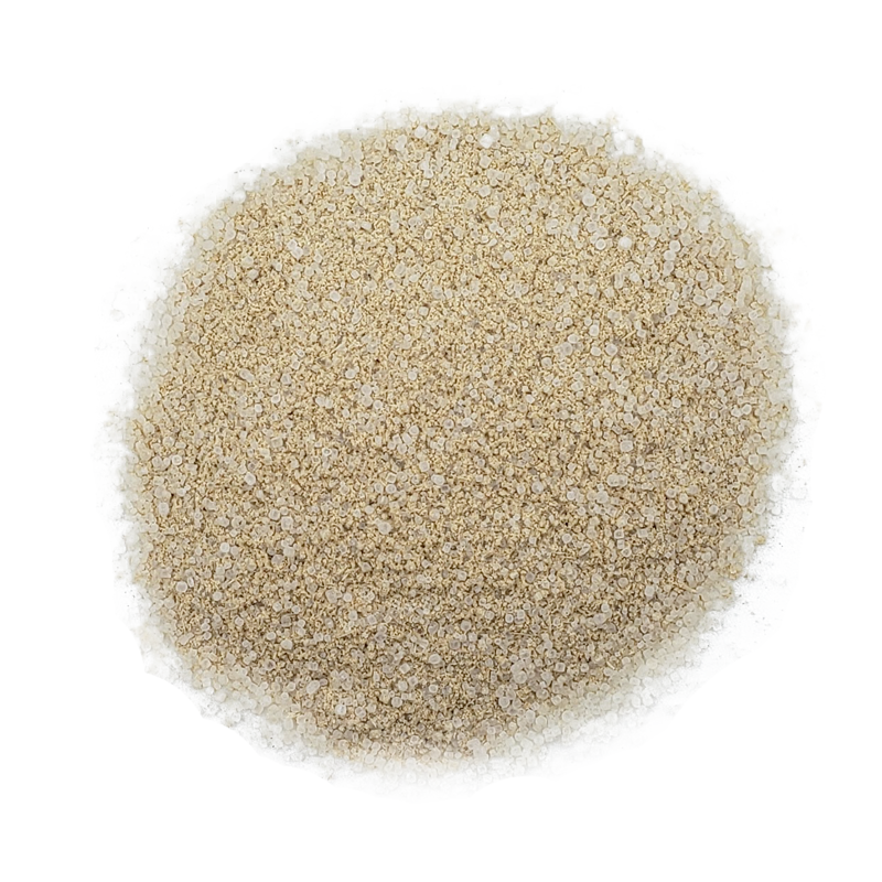 Organic Garlic Salt (Bottle) - 100g