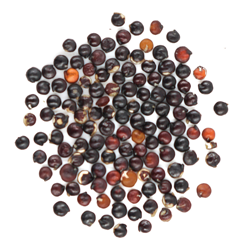 Organic Black Quinoa