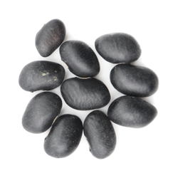 Organic Black Kidney Bean