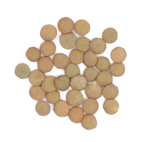 Organic Green Lentils