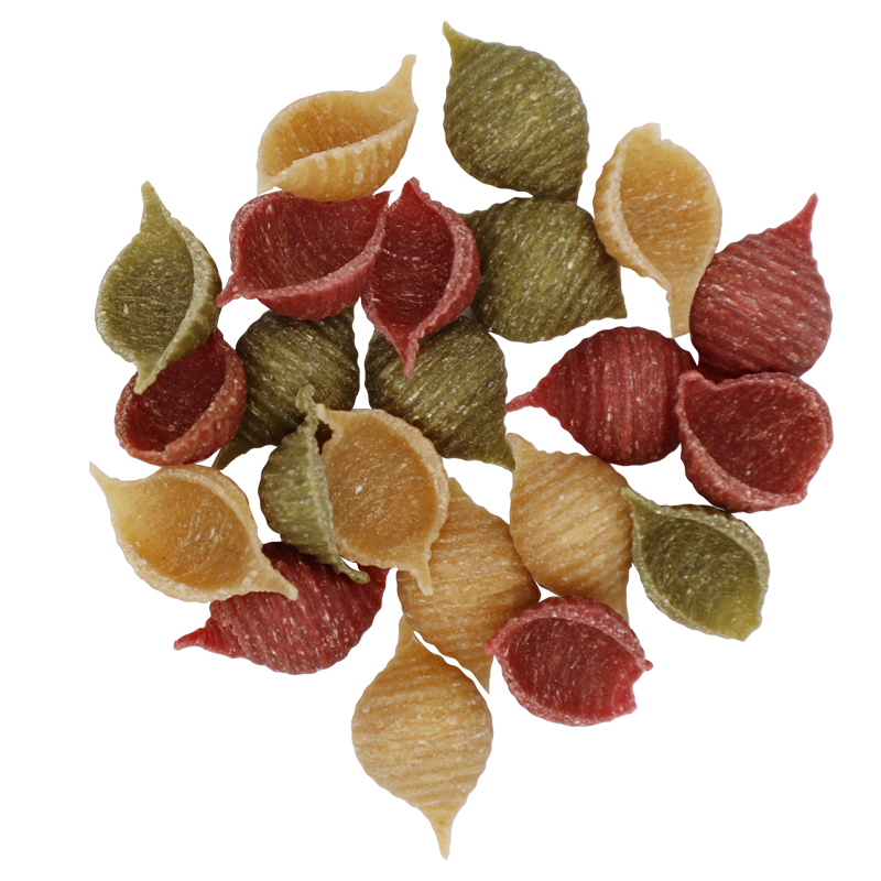 Organic Vegetable Shell Pasta