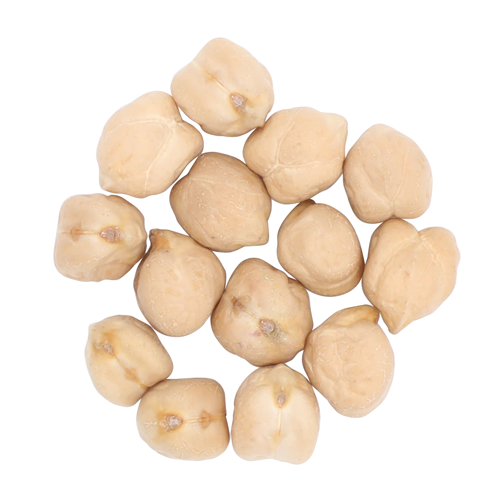 Organic Chickpeas